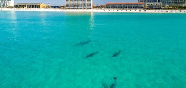 Top Spring Break Experiences for Families