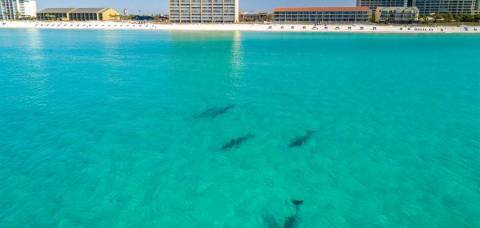 Top Spring Break Experiences for Families